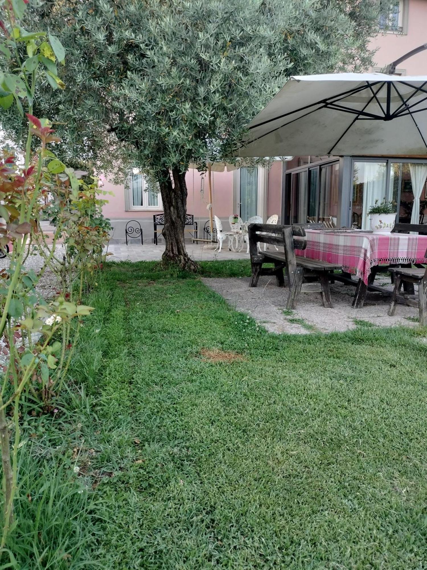 BeB La Rosa Nel Verde Lucca Esterno foto